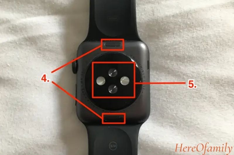 The back of the Apple Watch has two main components
