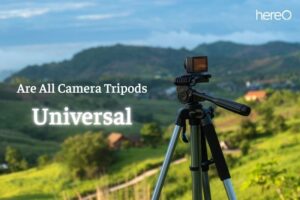 Are All Camera Tripods Universal