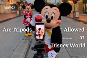 Are Tripods Allowed at Disney World