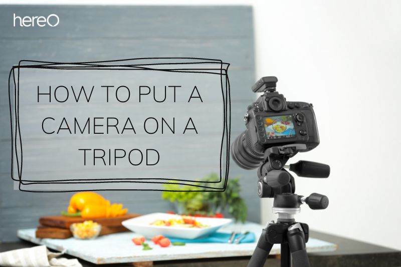 How To Put a Camera On a Tripod Best Guide Full 2023