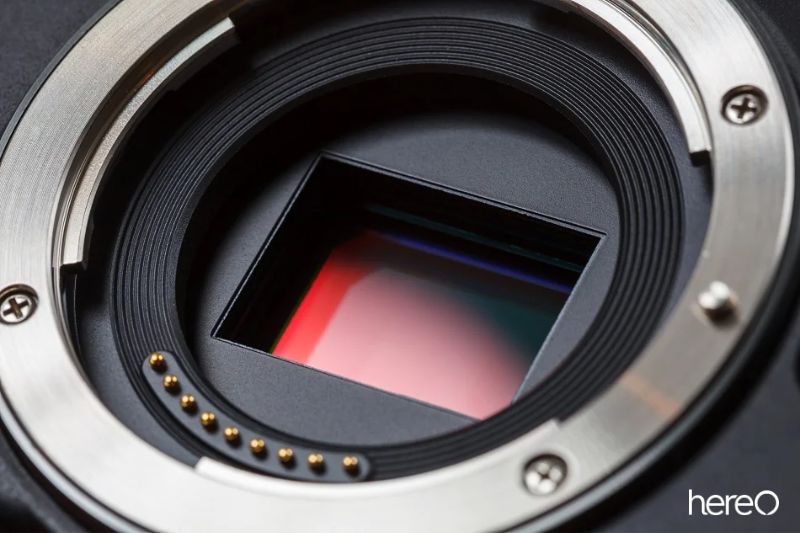 Sensor Size Affects Your Lens Options