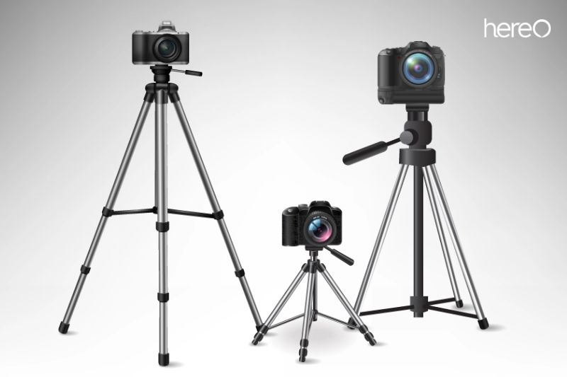 What Are The Different Types Of Tripod