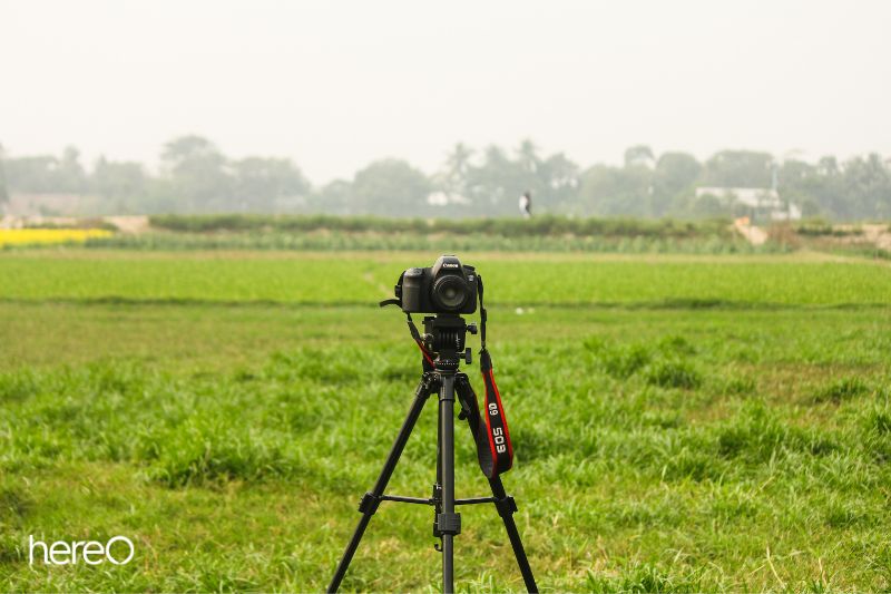 What Factors You Should Consider When Buying A Tripod