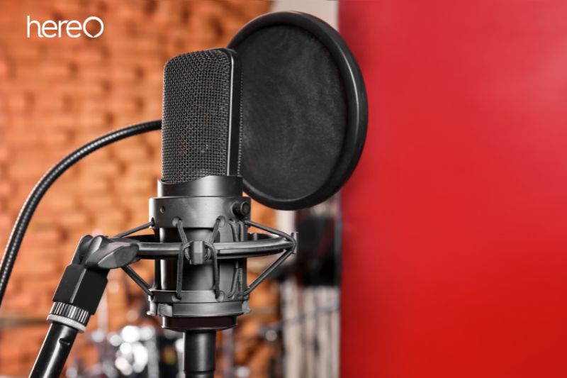How Does a Pop Filter Works