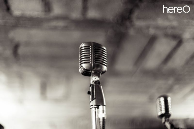 What Is a Condenser Microphone