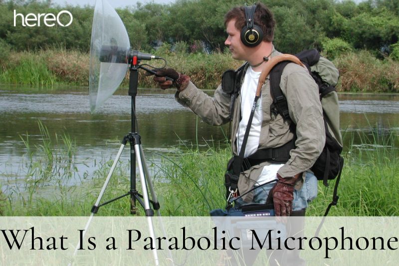 What Is a Parabolic Microphone Top Full Guide 2023